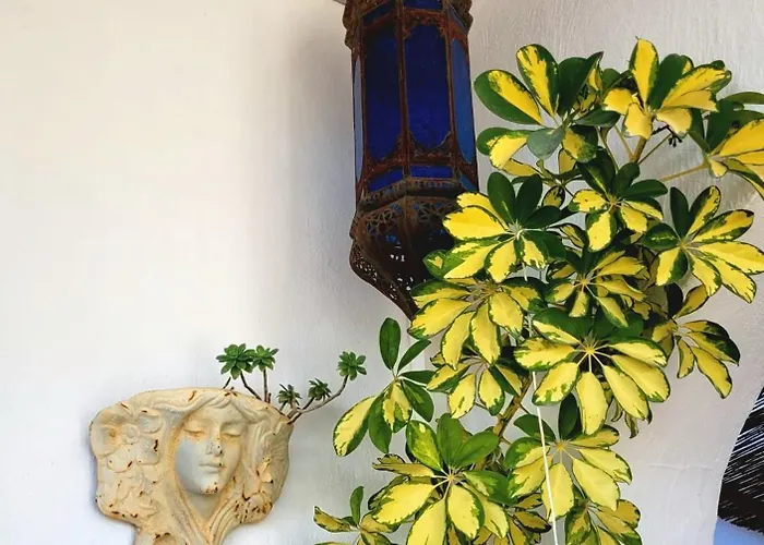 Villa Bibi